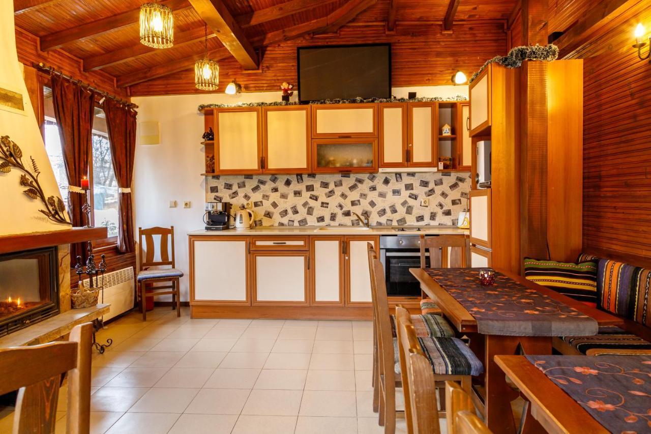 Villa Gamma Pavel Banja Kültér fotó