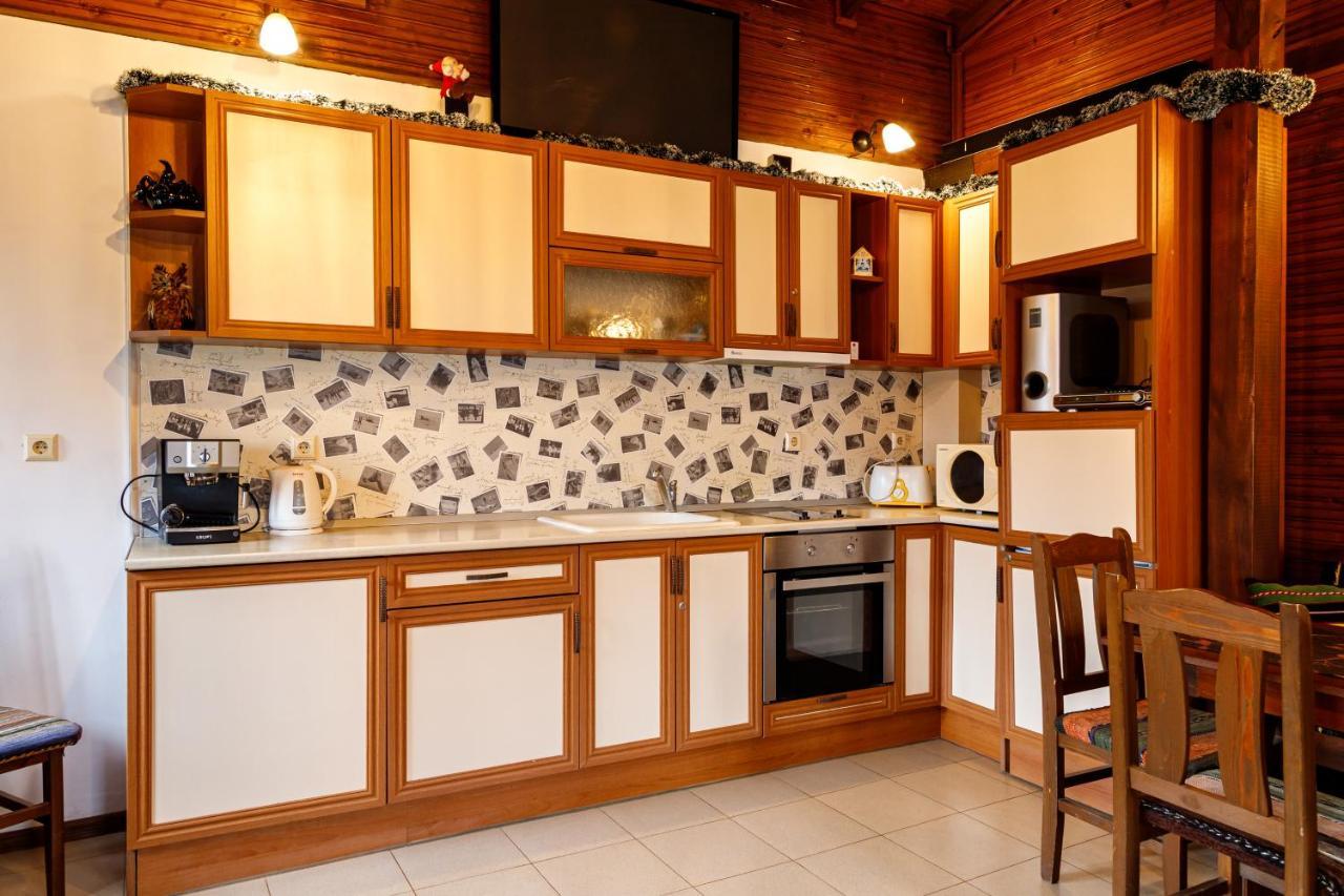 Villa Gamma Pavel Banja Kültér fotó