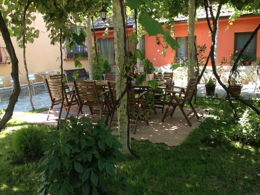 Villa Gamma Pavel Banja Kültér fotó